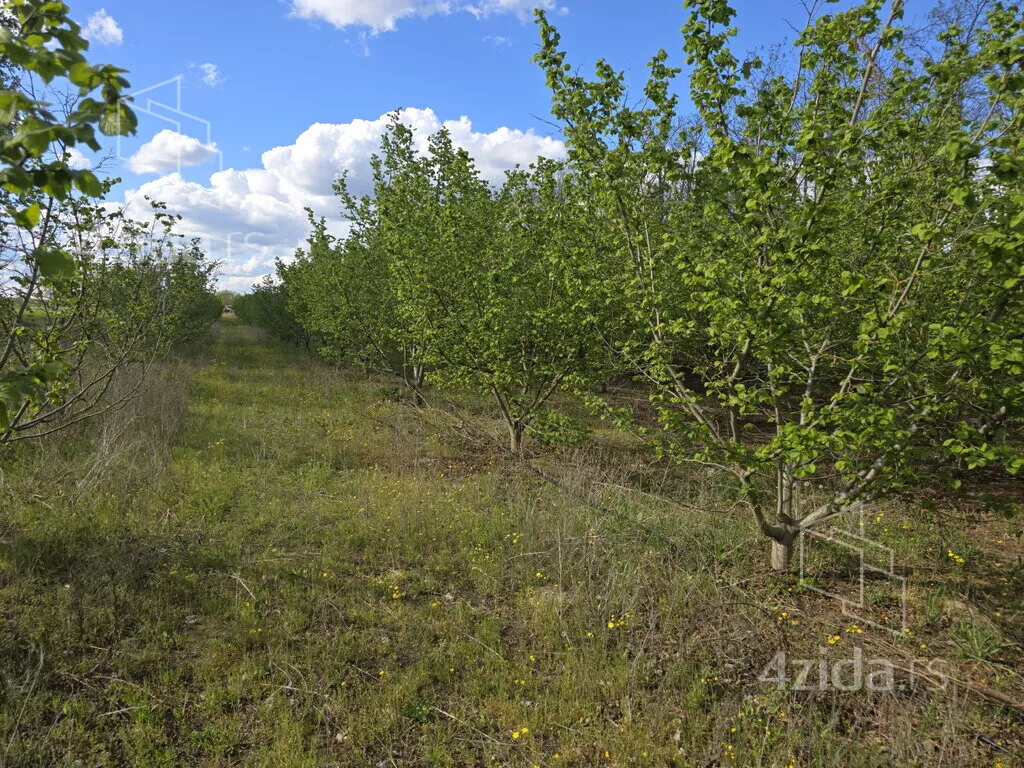 Poljoprivredno zemljište | 4zida