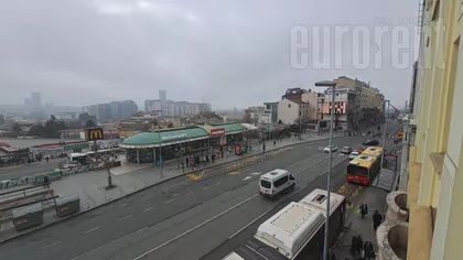 ZELENI VENAC | 4zida.rs