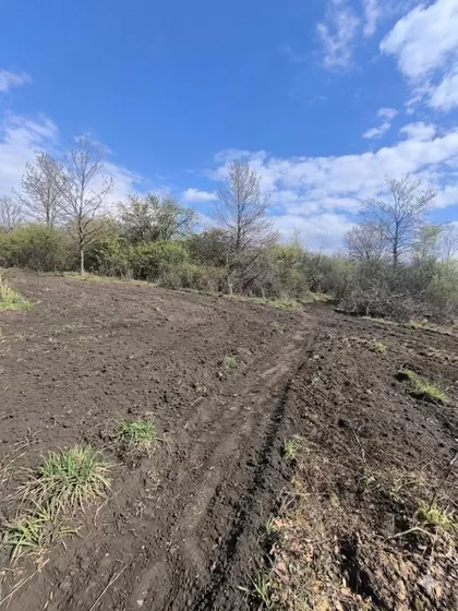 Kosmajska | 4zida.rs