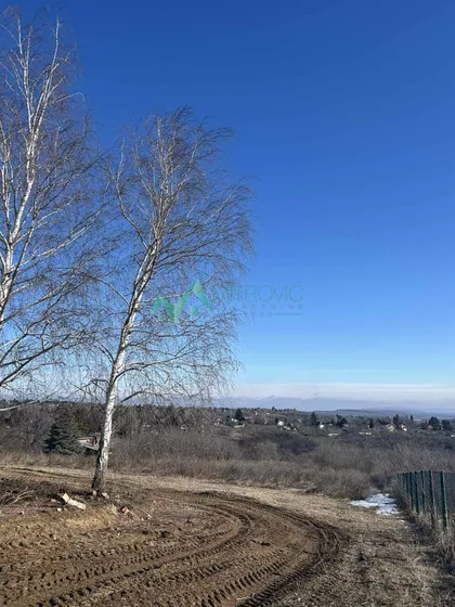 Čortanovci | 4zida.rs