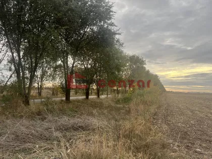 Mali Bajmok | 4zida.rs