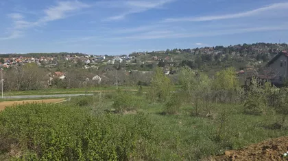 Sremska Kamenica | 4zida.rs