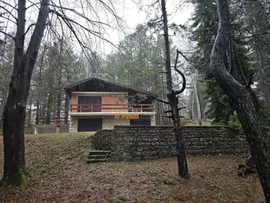 Karaula