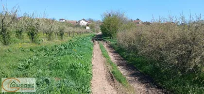 Zaklopača | 4zida.rs