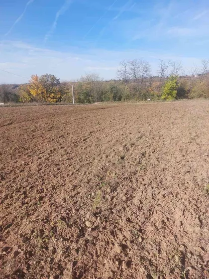 Nenadovac | 4zida.rs