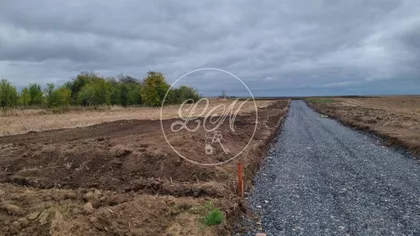 Carice Milice | 4zida.rs