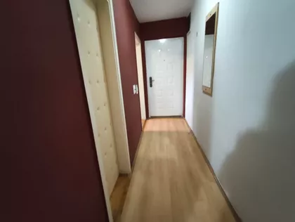 Kolonija | 4zida.rs