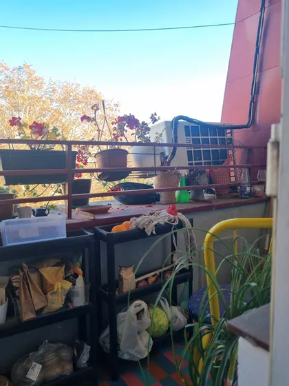 Stevana Milovanova | 4zida.rs