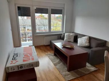 Radoja Domanovića