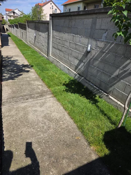 Aleksandra Petrovića | 4zida.rs