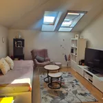 Novo Naselje, Gradske lokacije, Novi Sad | 4zida.rs | 4zida.rs