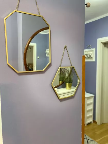 Vojvode Stepe | 4zida.rs