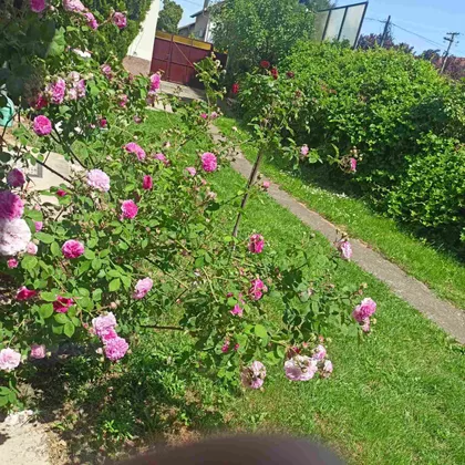 Gradske lokacije | 4zida.rs