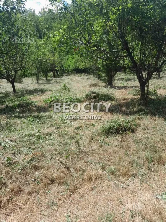 Plac | 4zida
