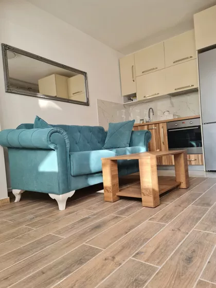 Blagoja Parovića | 4zida.rs