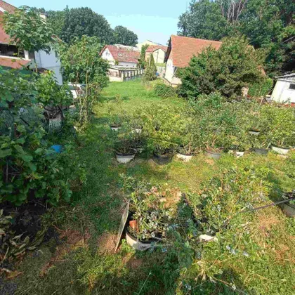 Miljakovačke šume | 4zida.rs