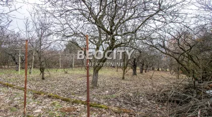 Avalski drum | 4zida.rs