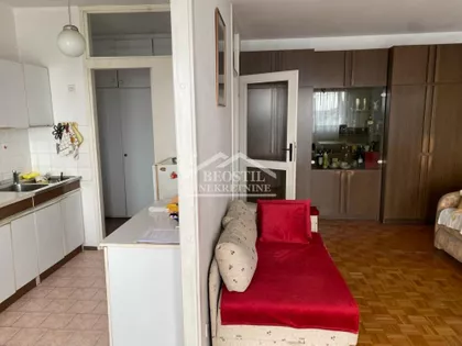 Dr Ivana Ribara | 4zida.rs