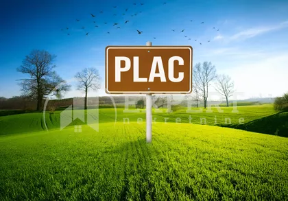 Pasi poljana | 4zida.rs