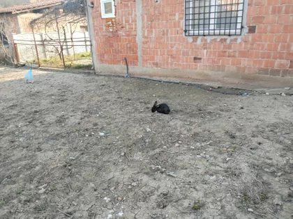 Begaljica | 4zida.rs