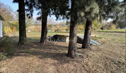 Alibegovac | 4zida.rs