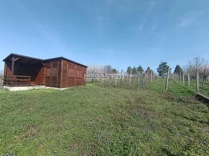 Ostružnica | 4zida.rs