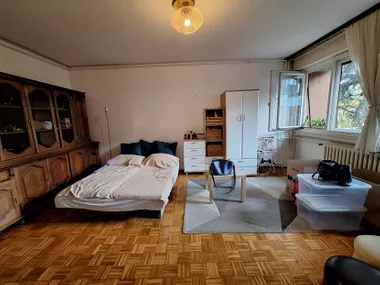 Vojvode Stepe