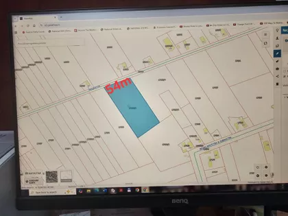 Muškatla | 4zida.rs