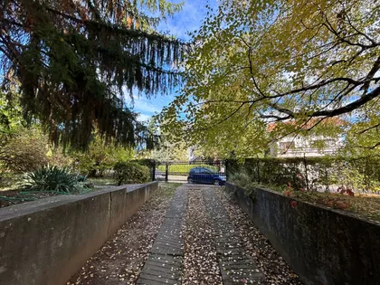 Momira Korunovića | 4zida.rs