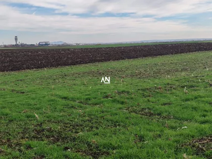 Potez Krčevine | 4zida.rs