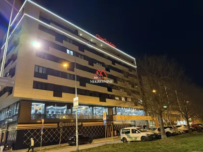 Veselina Masleše | 4zida.rs