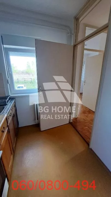 Dr Ivana Ribara | 4zida.rs