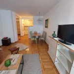 Novi Sad, Gradske lokacije, Detelinara, Nova Detelinara | 4zida.rs | 4zida.rs