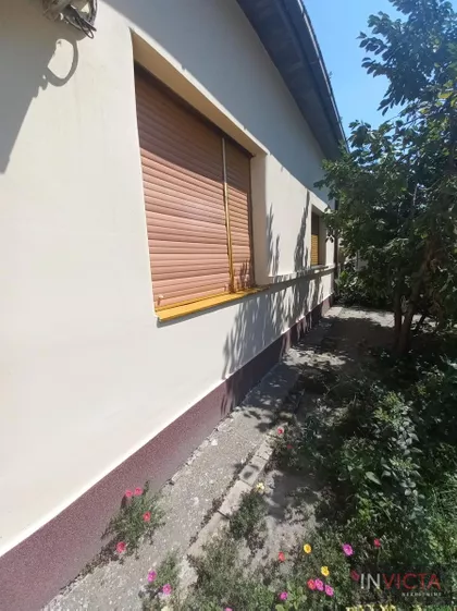 Salajka | 4zida.rs