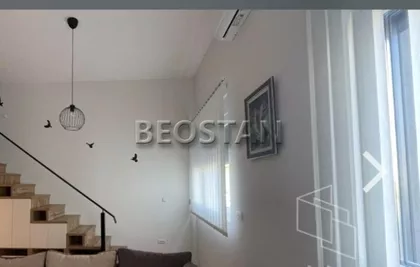 Belfortska | 4zida.rs