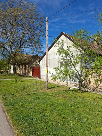 Dunavska 8 | 4zida.rs