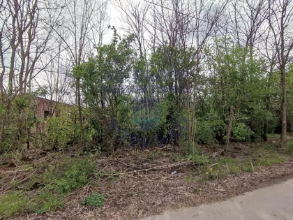 Pejićevi Salaši | 4zida.rs