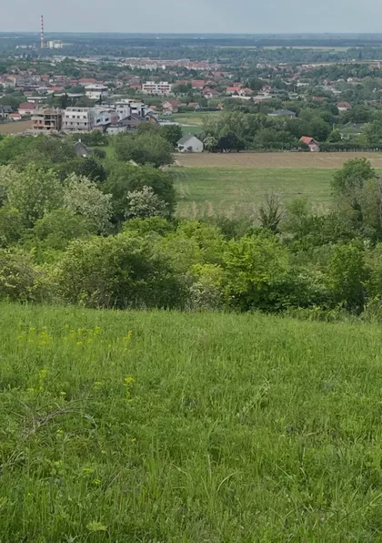 Đorđa Velića | 4zida.rs