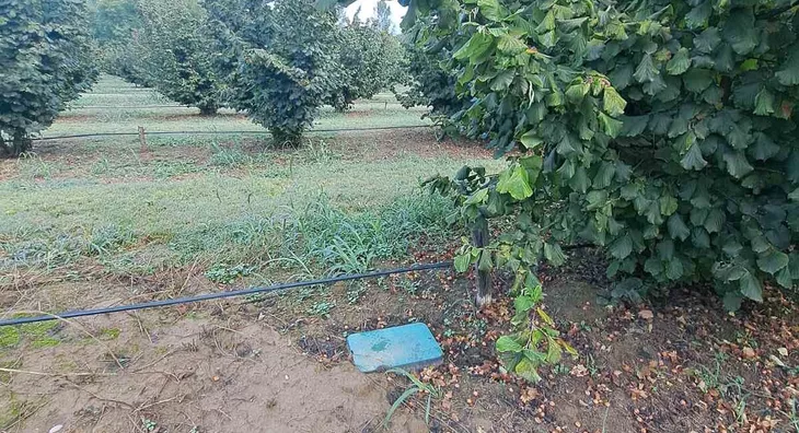 Poljoprivredno zemljište | 4zida