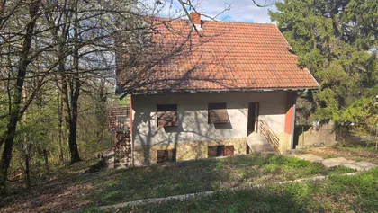 Mate Jerkovića | 4zida.rs