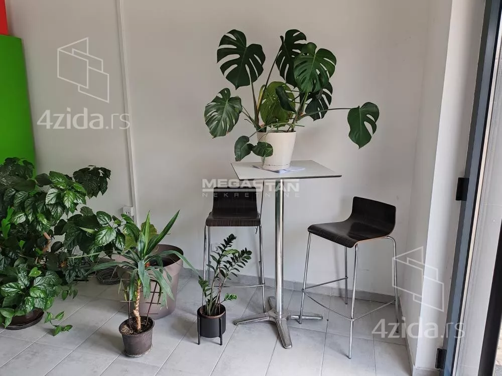 Lokal | 4zida