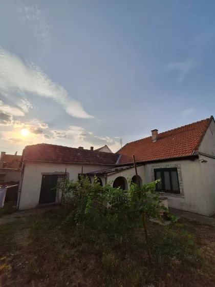 Žarko Zrenjanin | 4zida.rs