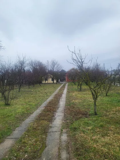 Čortanovci | 4zida.rs