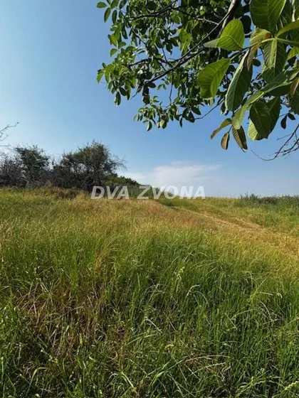 Čortanovci | 4zida.rs