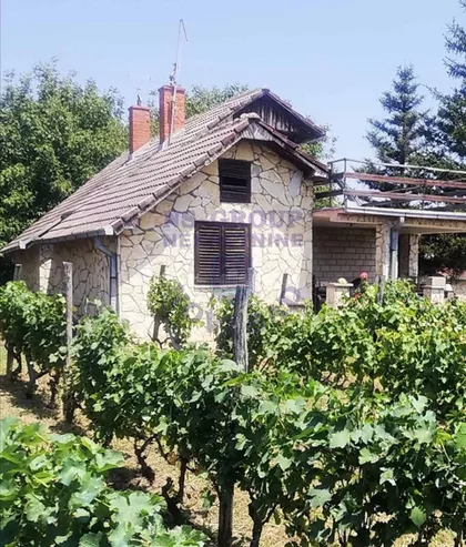 Đure Jakšića | 4zida.rs