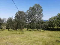 Carina, Gradske lokacije, Užice | 4zida.rs