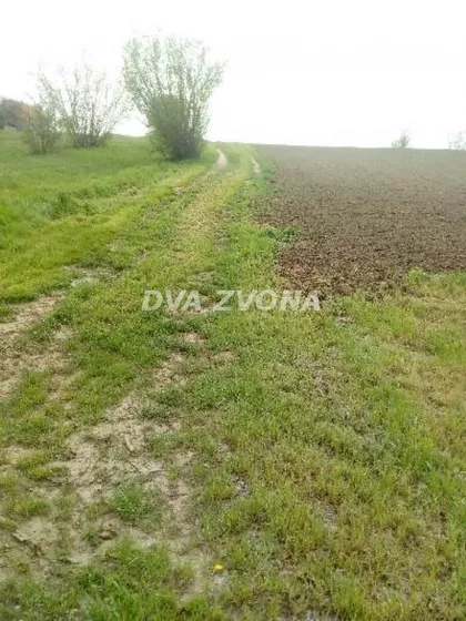 Čortanovci | 4zida.rs