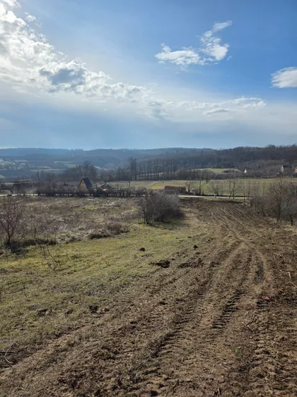 Save Kovačevića | 4zida.rs