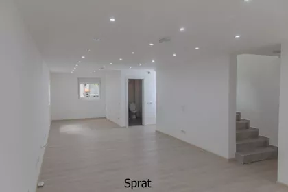 Cara Dušana | 4zida.rs