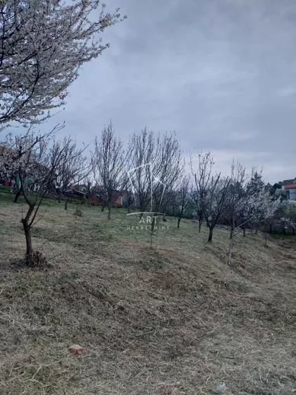 Župana Tihomira | 4zida.rs